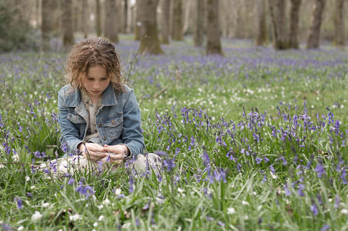 Blue bell mini photo session, barns green, sussex